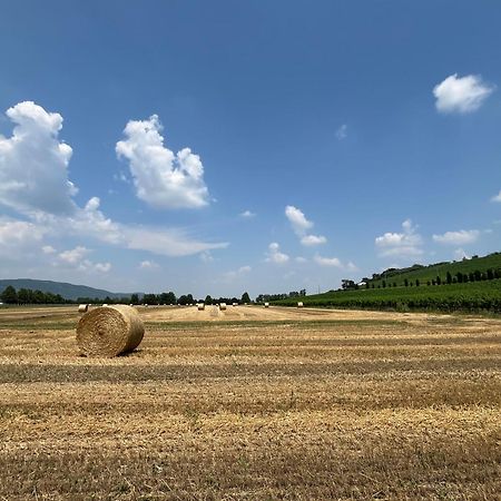 Corte Monticello Barbarano Vicentino المظهر الخارجي الصورة