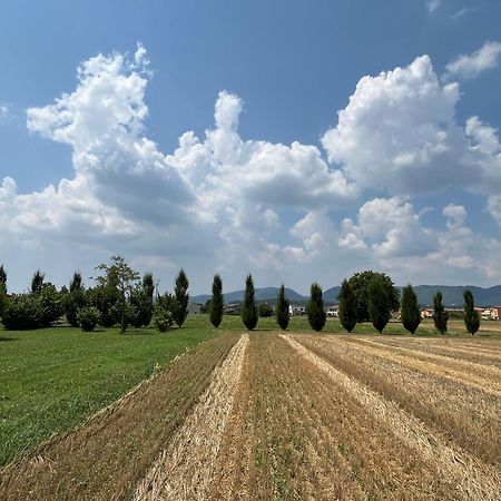 Corte Monticello Barbarano Vicentino المظهر الخارجي الصورة