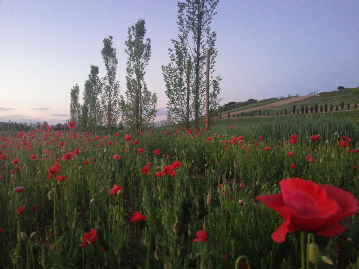 شقة Corte Monticello Barbarano Vicentino المظهر الخارجي الصورة