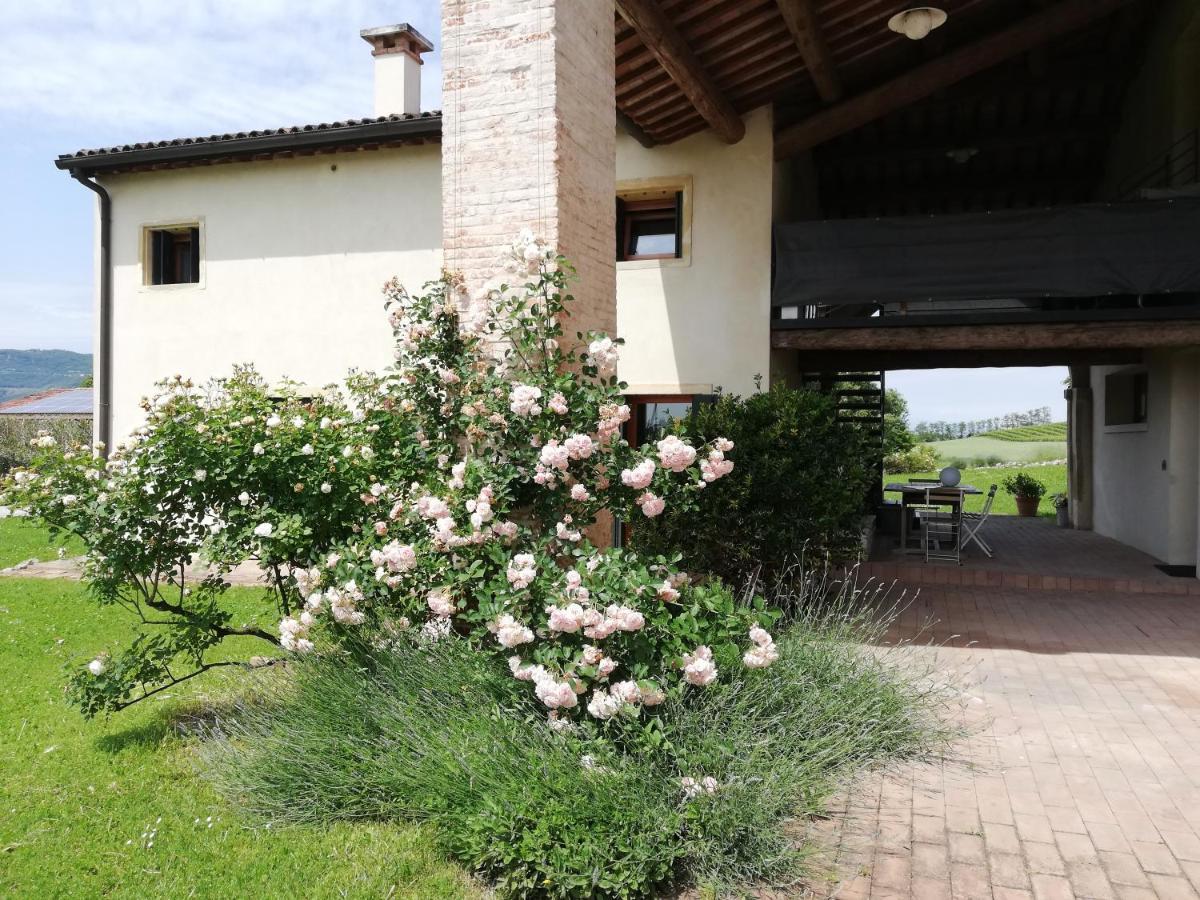 Corte Monticello Barbarano Vicentino المظهر الخارجي الصورة