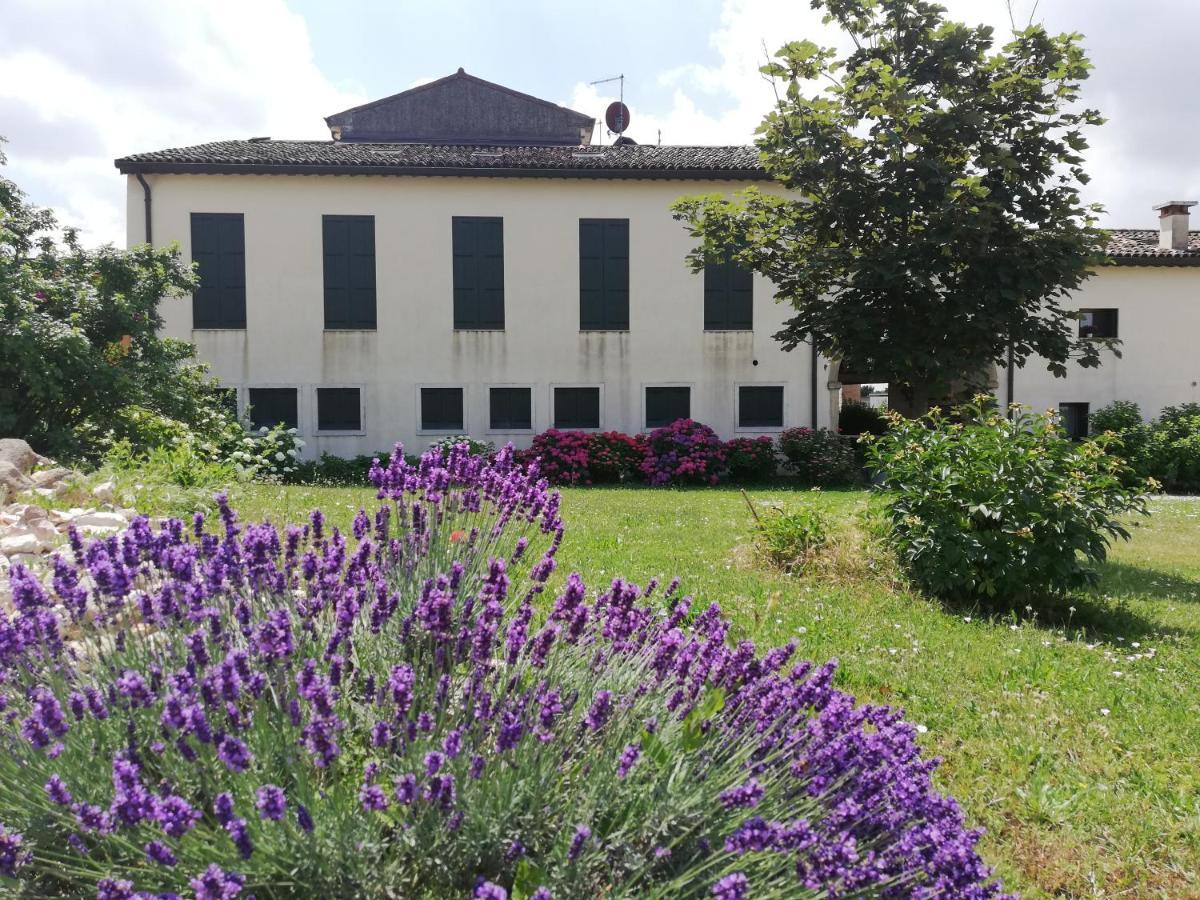 شقة Corte Monticello Barbarano Vicentino المظهر الخارجي الصورة