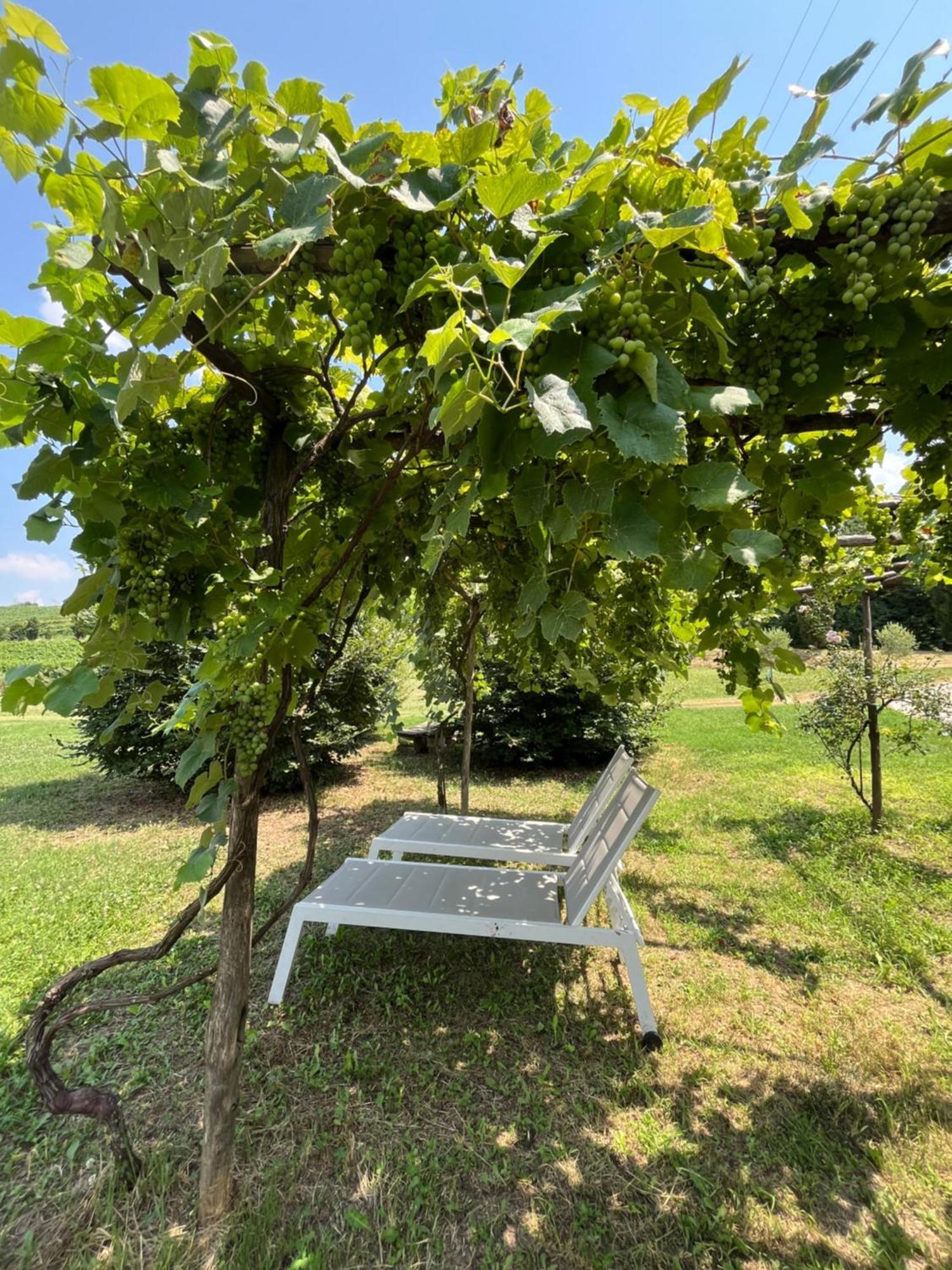 Corte Monticello Barbarano Vicentino المظهر الخارجي الصورة