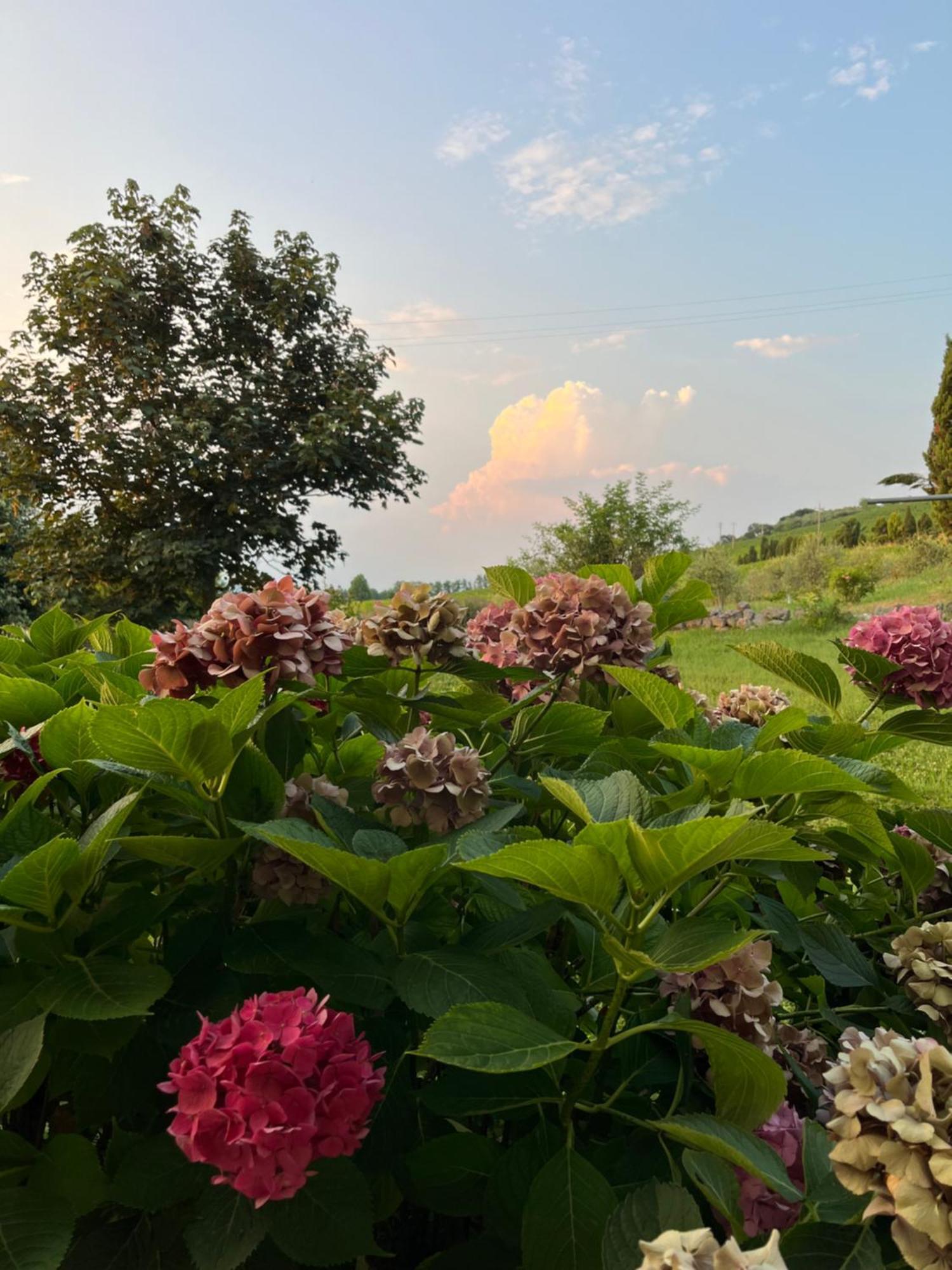 Corte Monticello Barbarano Vicentino المظهر الخارجي الصورة