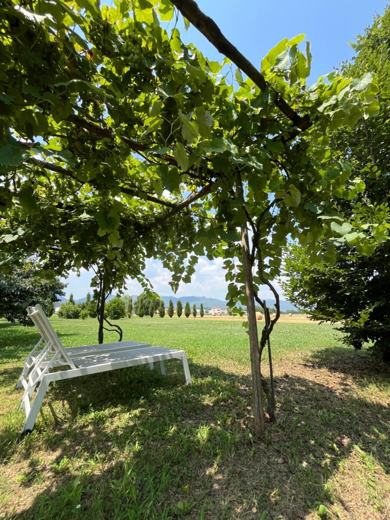 Corte Monticello Barbarano Vicentino المظهر الخارجي الصورة
