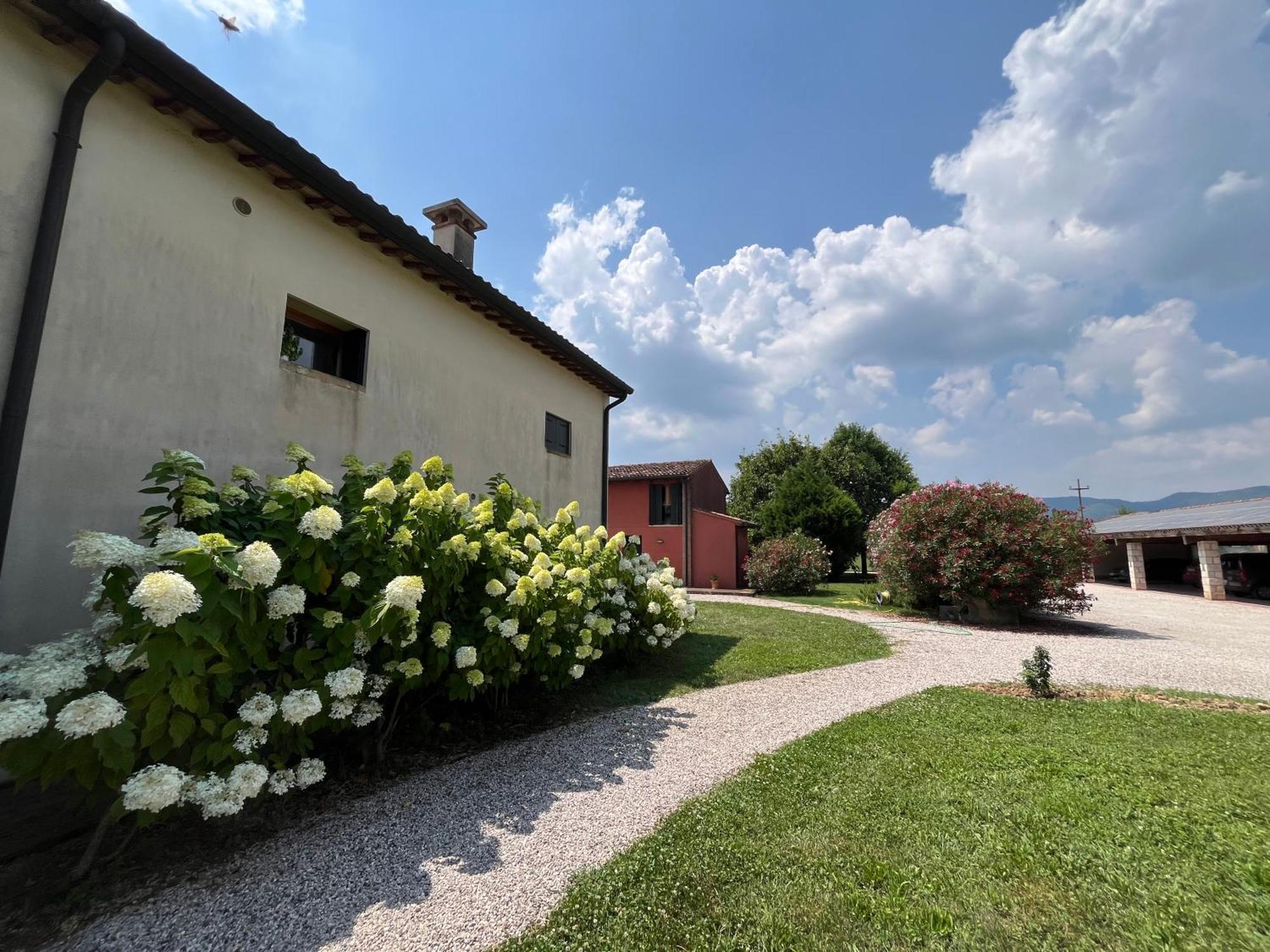 Corte Monticello Barbarano Vicentino المظهر الخارجي الصورة