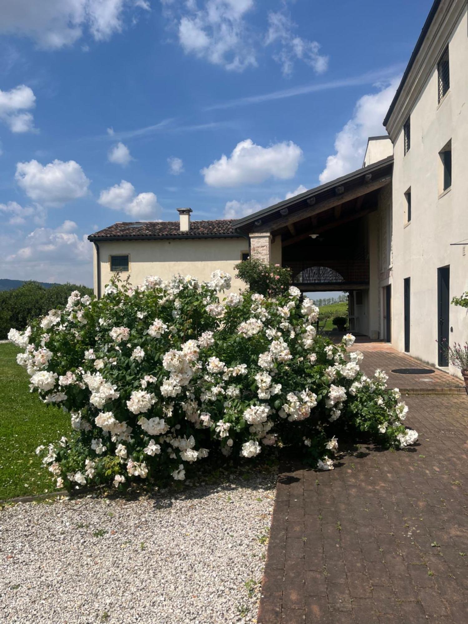 Corte Monticello Barbarano Vicentino المظهر الخارجي الصورة