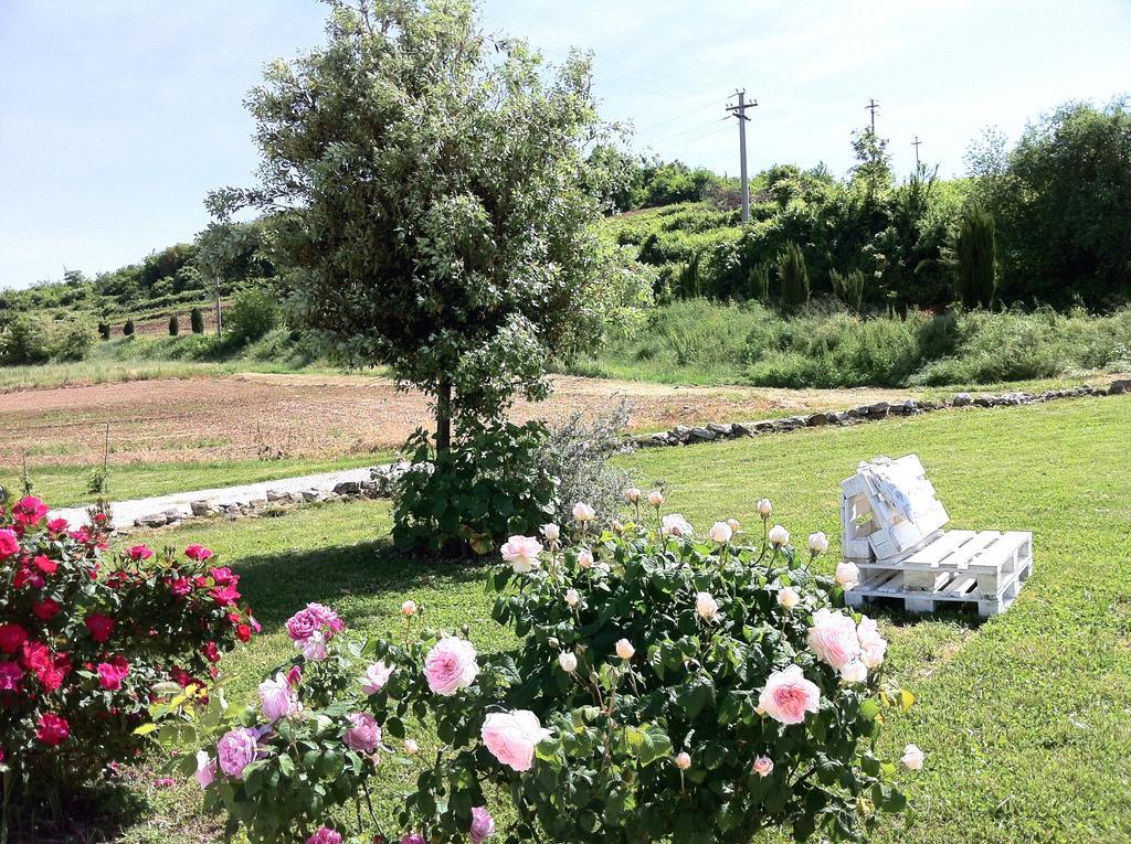 شقة Corte Monticello Barbarano Vicentino المظهر الخارجي الصورة