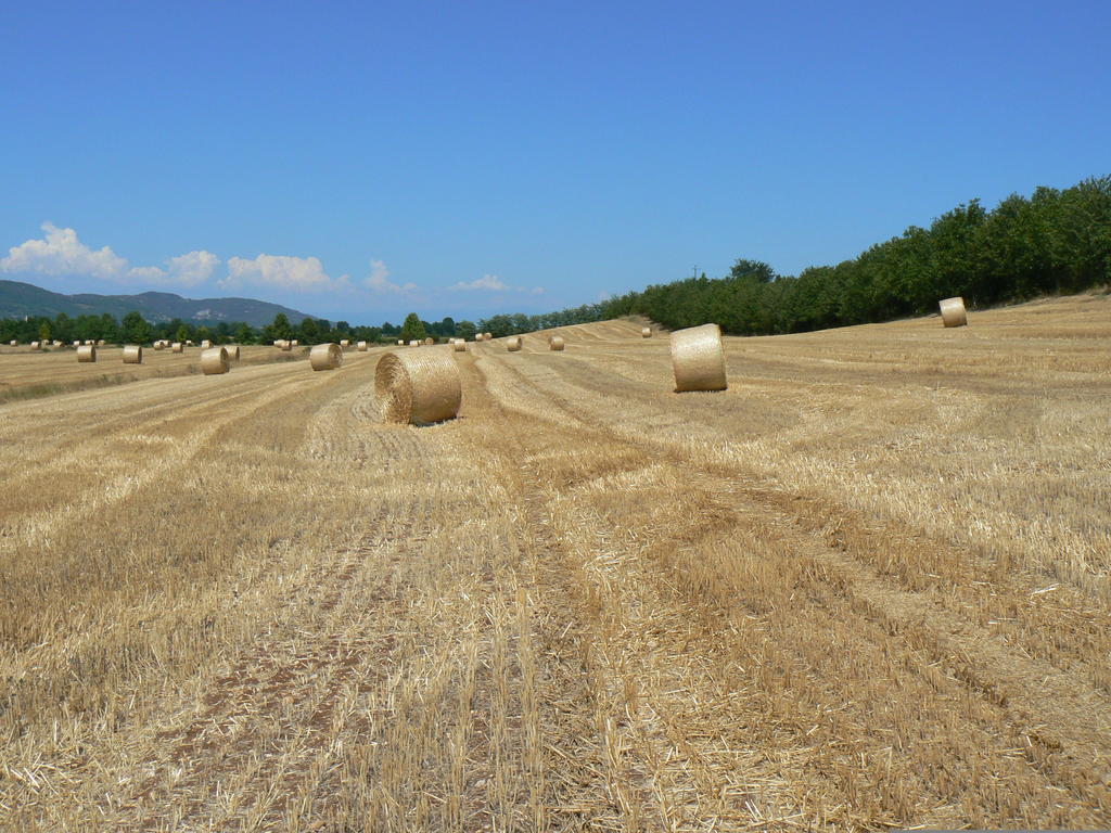 Corte Monticello Barbarano Vicentino المظهر الخارجي الصورة